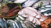 تولید سالانه ۱۷ هزار تُن ماهی در منابع آبی استان