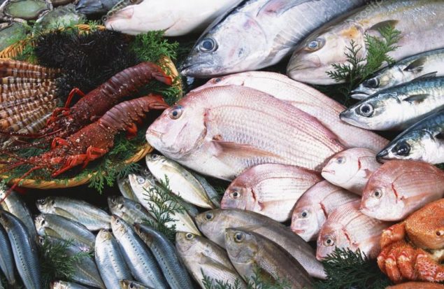 تولید سالانه ۱۷ هزار تُن ماهی در منابع آبی استان