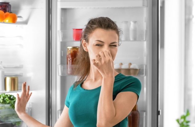 بهترین روش های رفع بوی بد آبسردکن یخچال