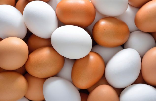 سالانه ۹۰ هزار تن تخم مرغ در آذربایجان غربی مصرف می‌شود