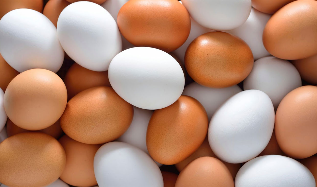 سالانه ۹۰ هزار تن تخم مرغ در آذربایجان غربی مصرف می‌شود