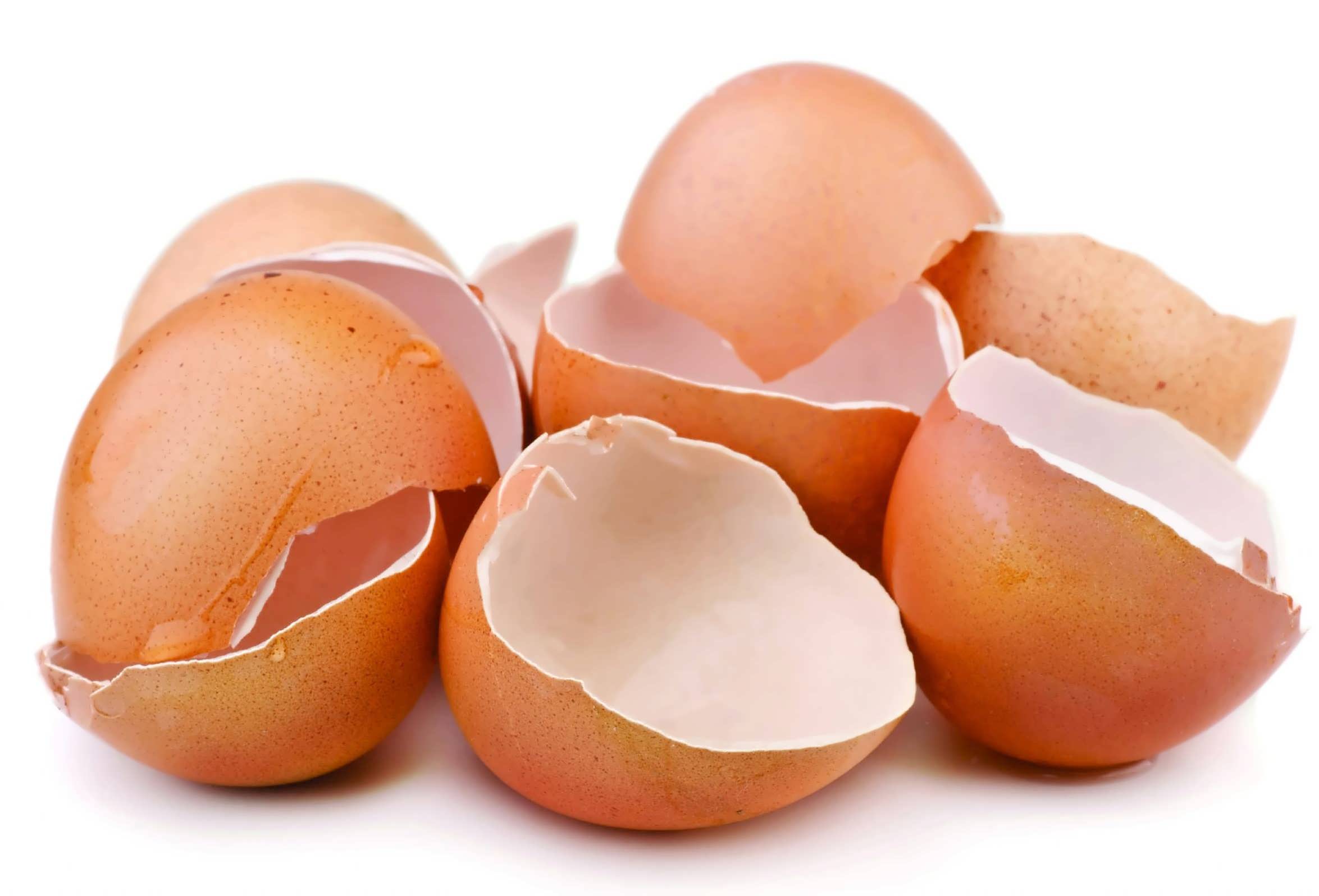 خواص شگفت انگیز پوست تخم مرغ که نمی دانستید!